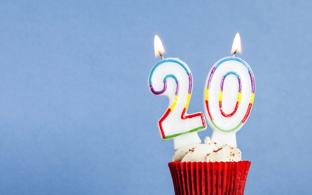 CELEBRATING 20 YEARS OF THE CREATIVE DESIGN SCHOOL